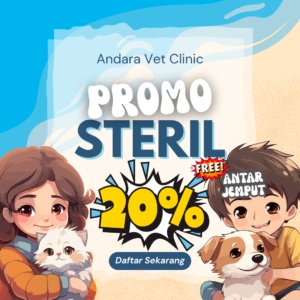 Poster promo steril anjing