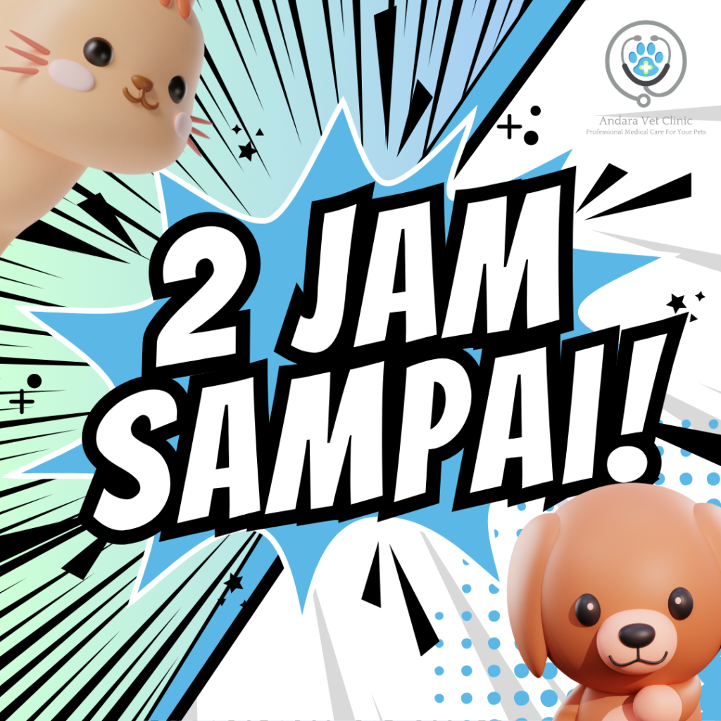 Dokter Hewan Panggilan